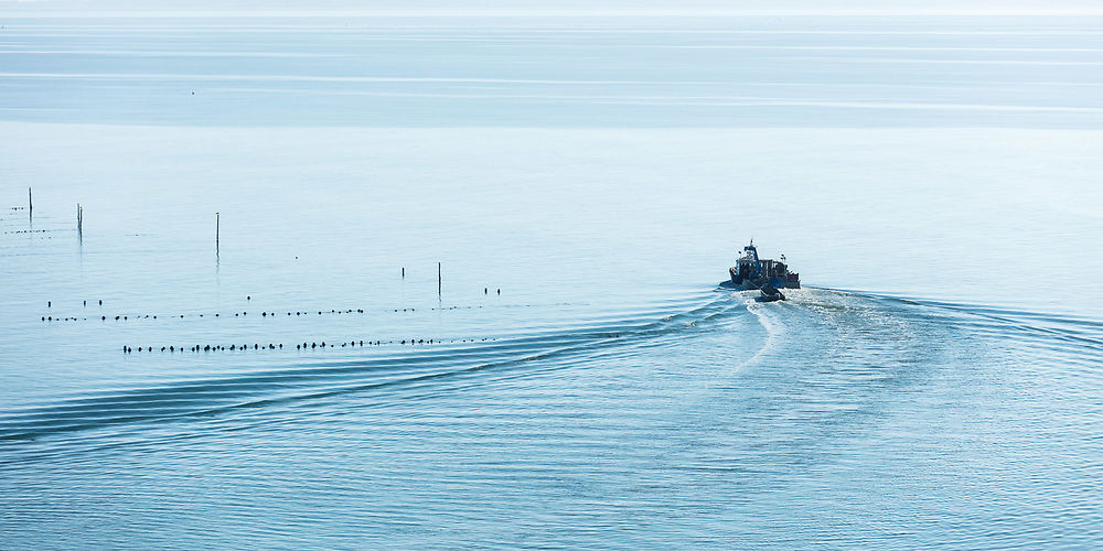 Bateau ostréicole