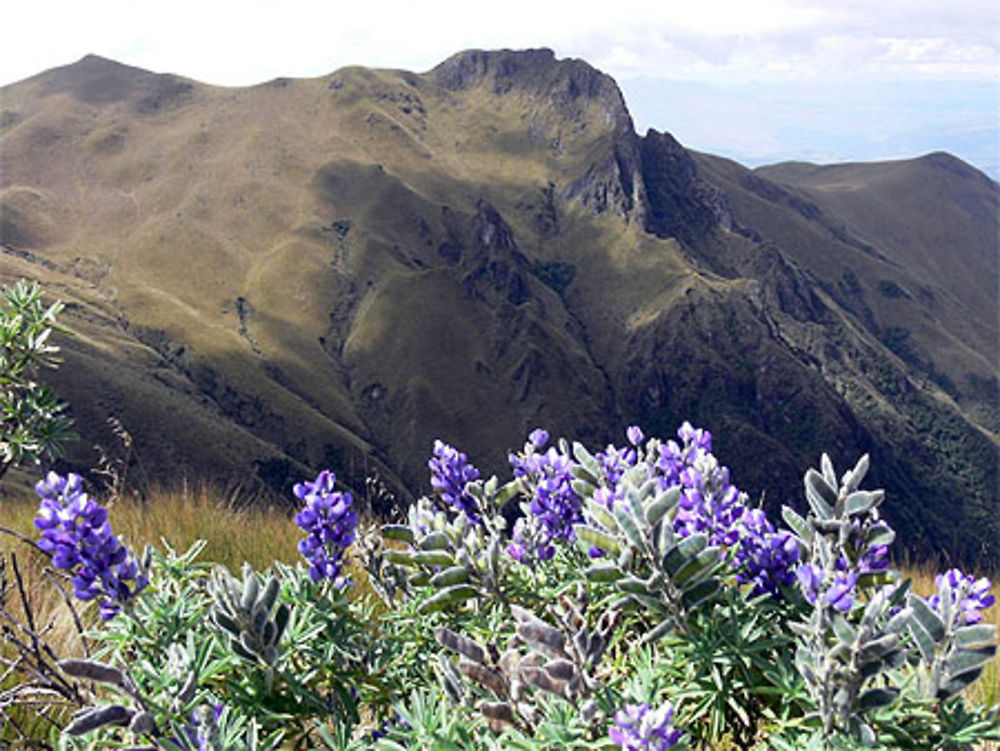 Montagnes autour de Quito