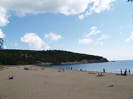 Plage d'Acadia NP
