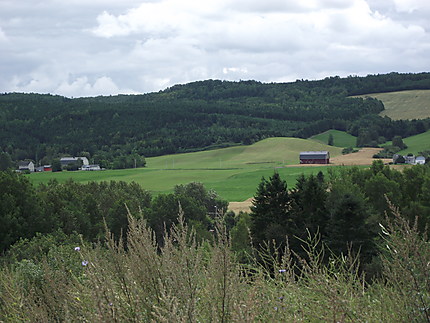 Paysage à St-Octave-de-Métis