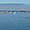Port Blanc et ses bateaux