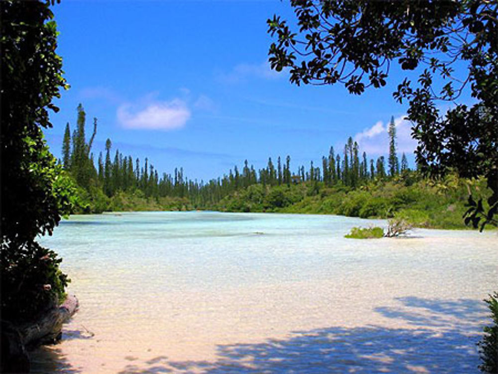 L'îIe des Pins