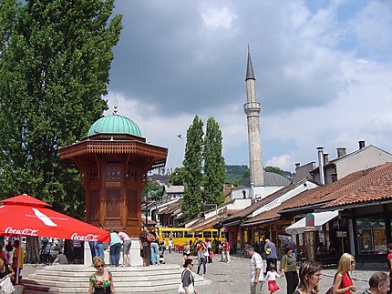Place aux pigeons à Sarajevo