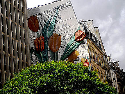 Tulipes murales