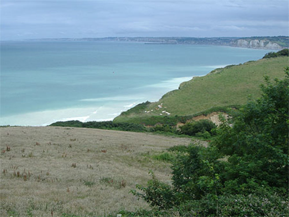 Côte d'albatre près de Dieppe