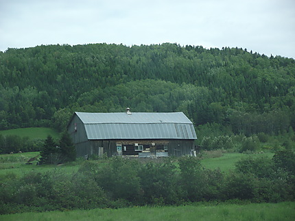 Paysage à St-Octave-de-Métis