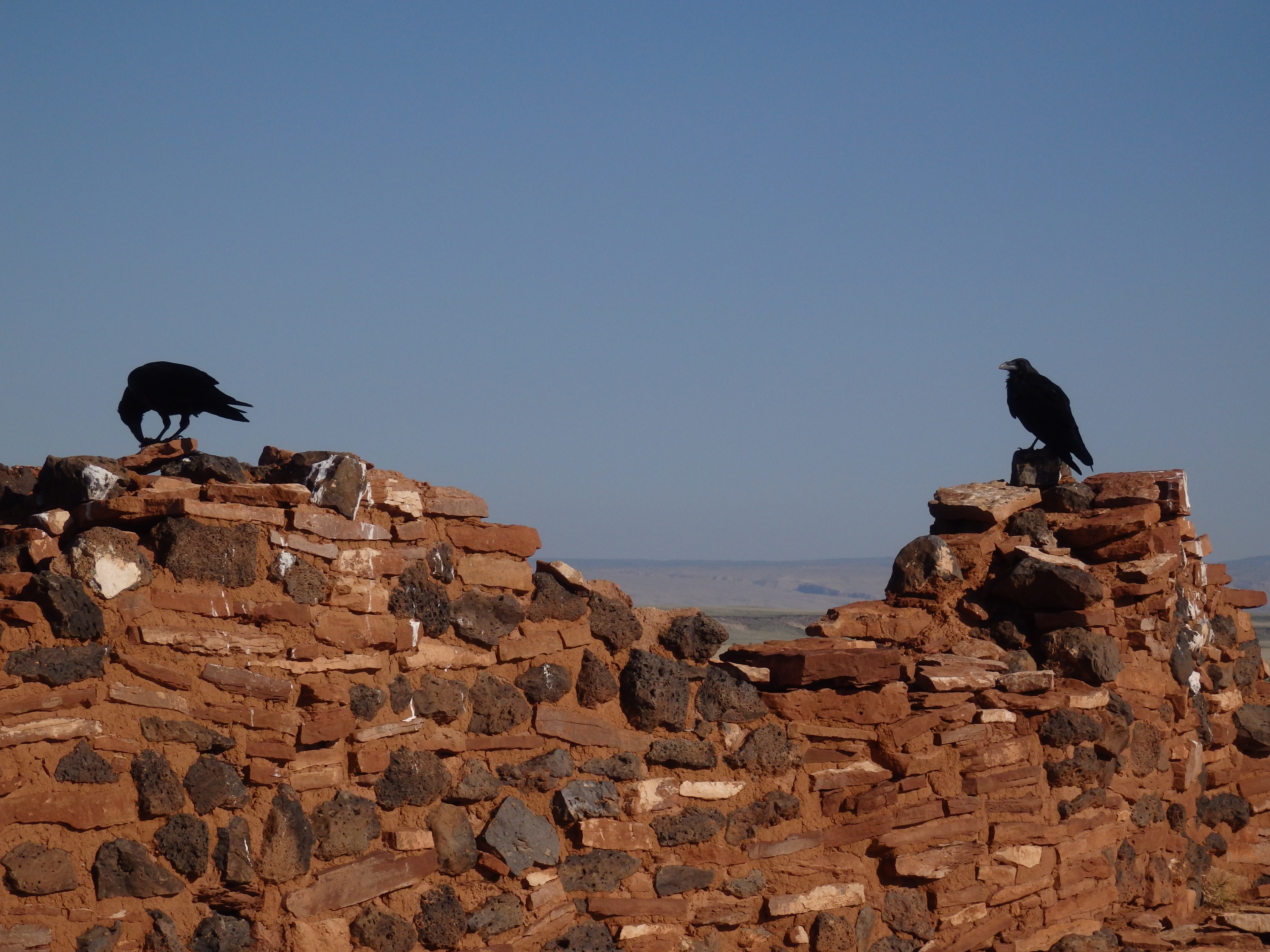 Ruine d'un village Navajo Ruine d'un village Navajo