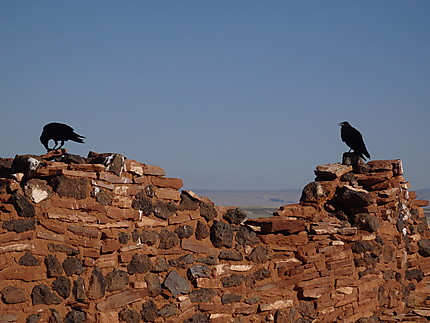 Ruine d'un village Navajo