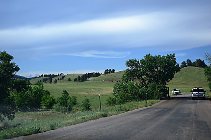 Promenade en voiture à travers le Custer Park