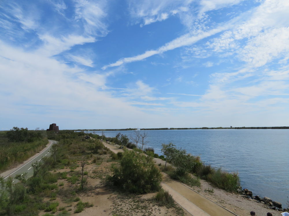 Le Delta de l'Èbre, Catalogne