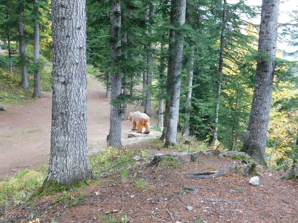 Rencontre surprise dans la forêt de Boscodon