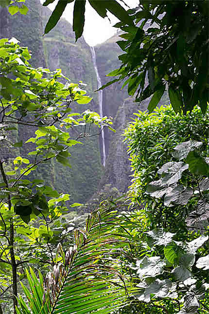 La cascade d' Hakaui