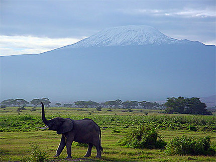Amboseli au petit matin