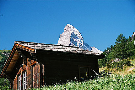 Le Cervin vue de Zermatt