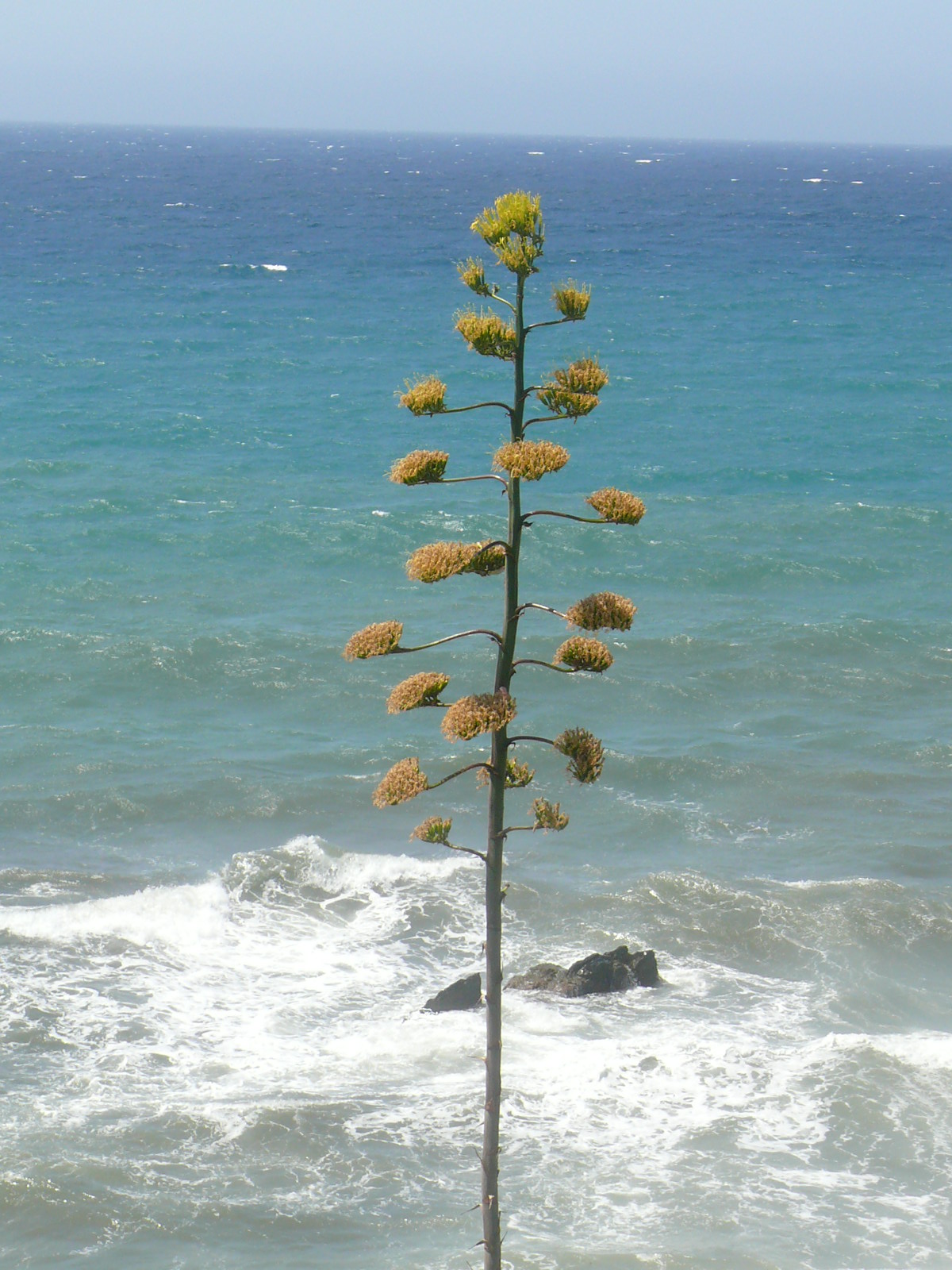 la mer a adra la mer a adra