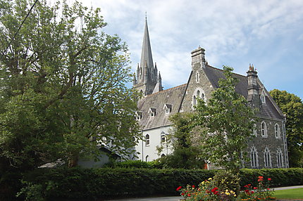 La cathédrale St Mary de Killarney