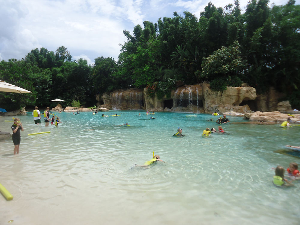 Piscine tropicale