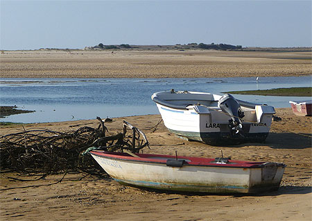 Manta Rota Manta Rota