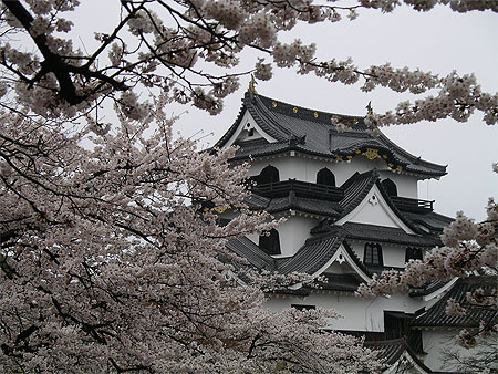 Château de Hikone Château de Hikone