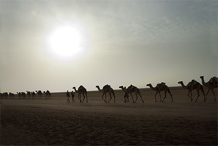 Le départ de la caravanne Le départ de la caravanne