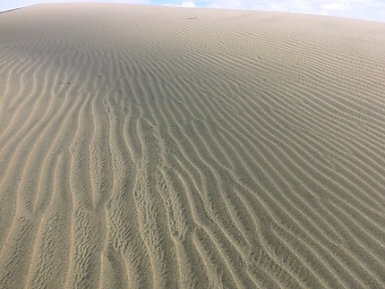 Les dunes de Maspalomas
