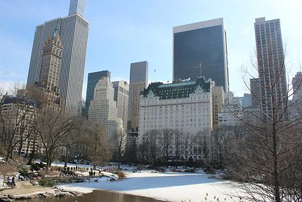 Central Park sous la neige