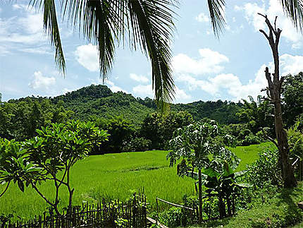 A Ban Son, en face de Luang Prabang