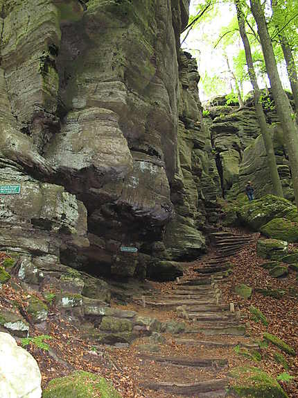 Müllerthal trail