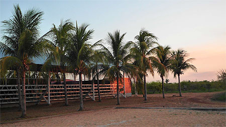 Coroatá, plantation d'acerolas Coroatá, plantation d'acerolas