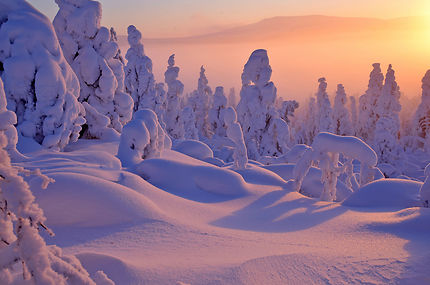 Premier lever du soleil en Laponie finlandaise