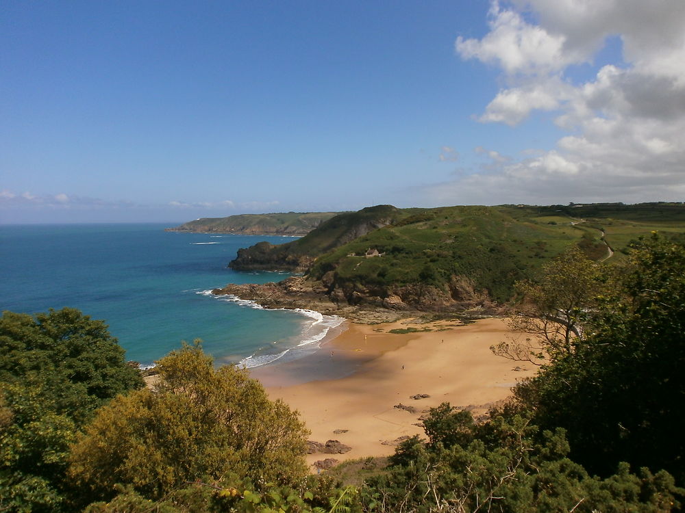 Plage sauvage