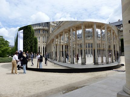 Effets réussis dans les jardins du Palais Royal 