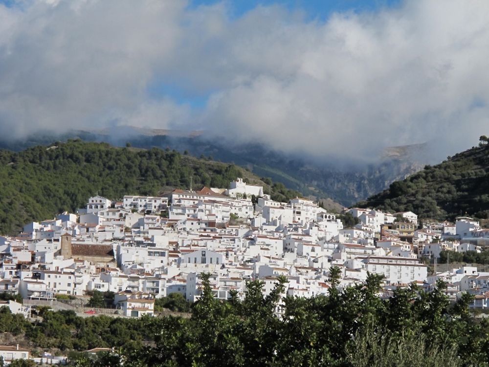 Canillas de Albaida