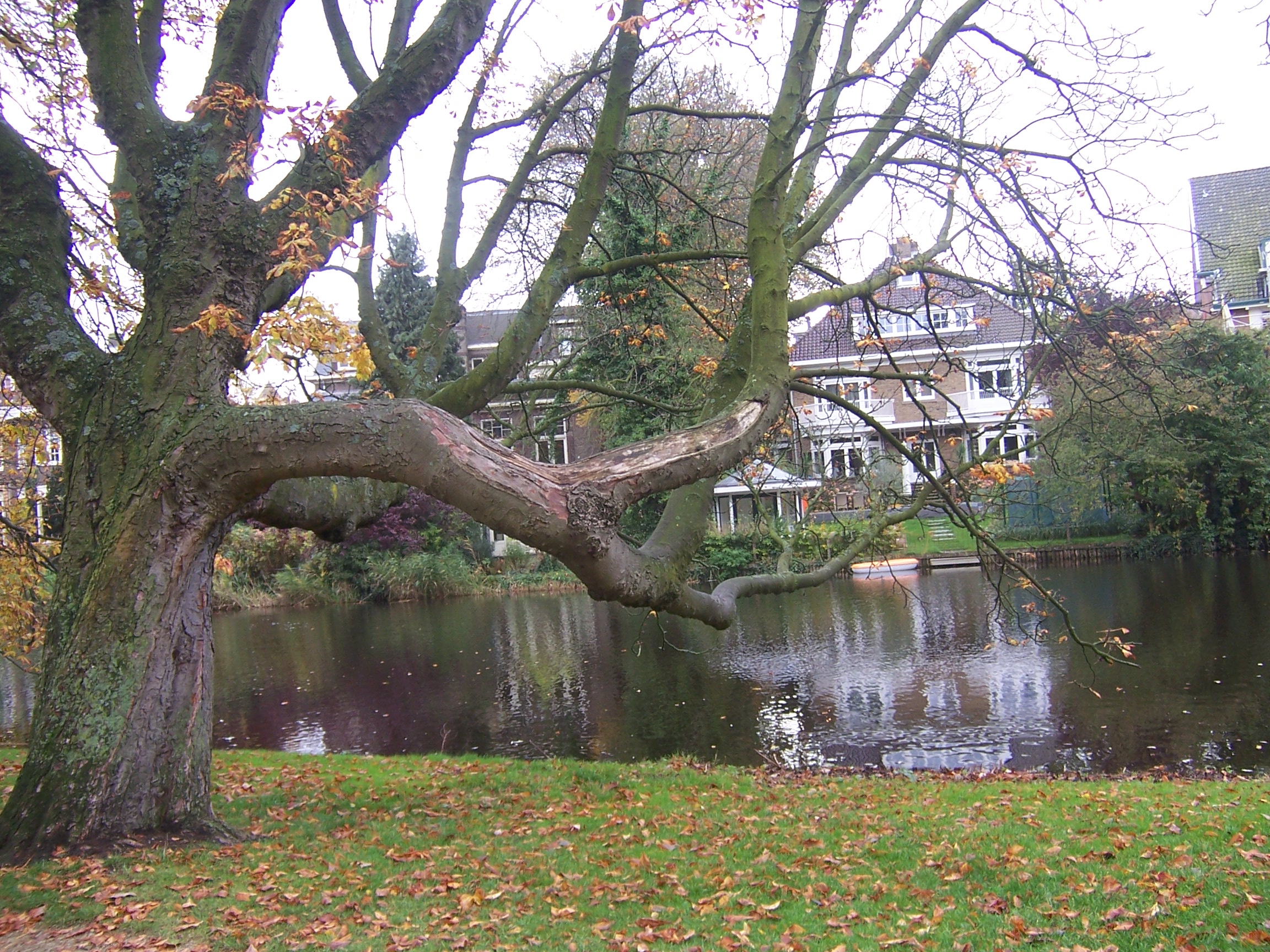 Un dimanche matin au Vondelpark Un dimanche matin au Vondelpark