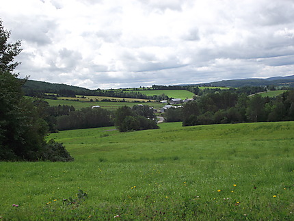 Paysage à St-Octave-de-Métis