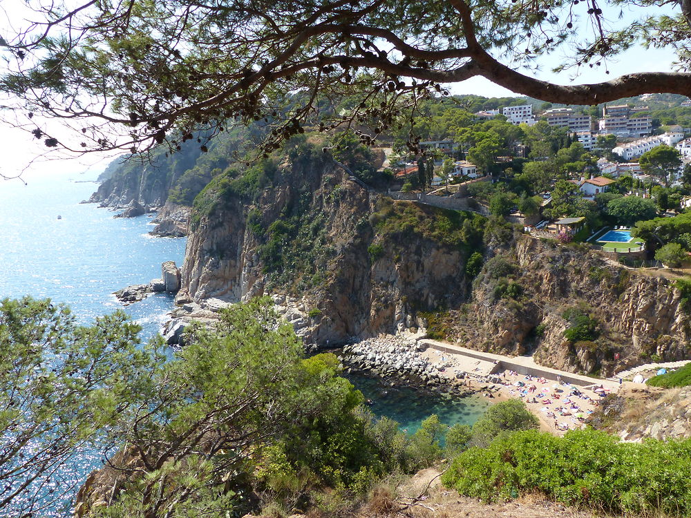 Tossa de Mar