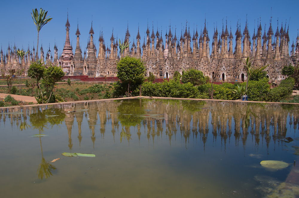 Reflets dans l'eau