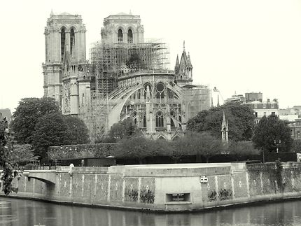 Drame international à Notre Dame 