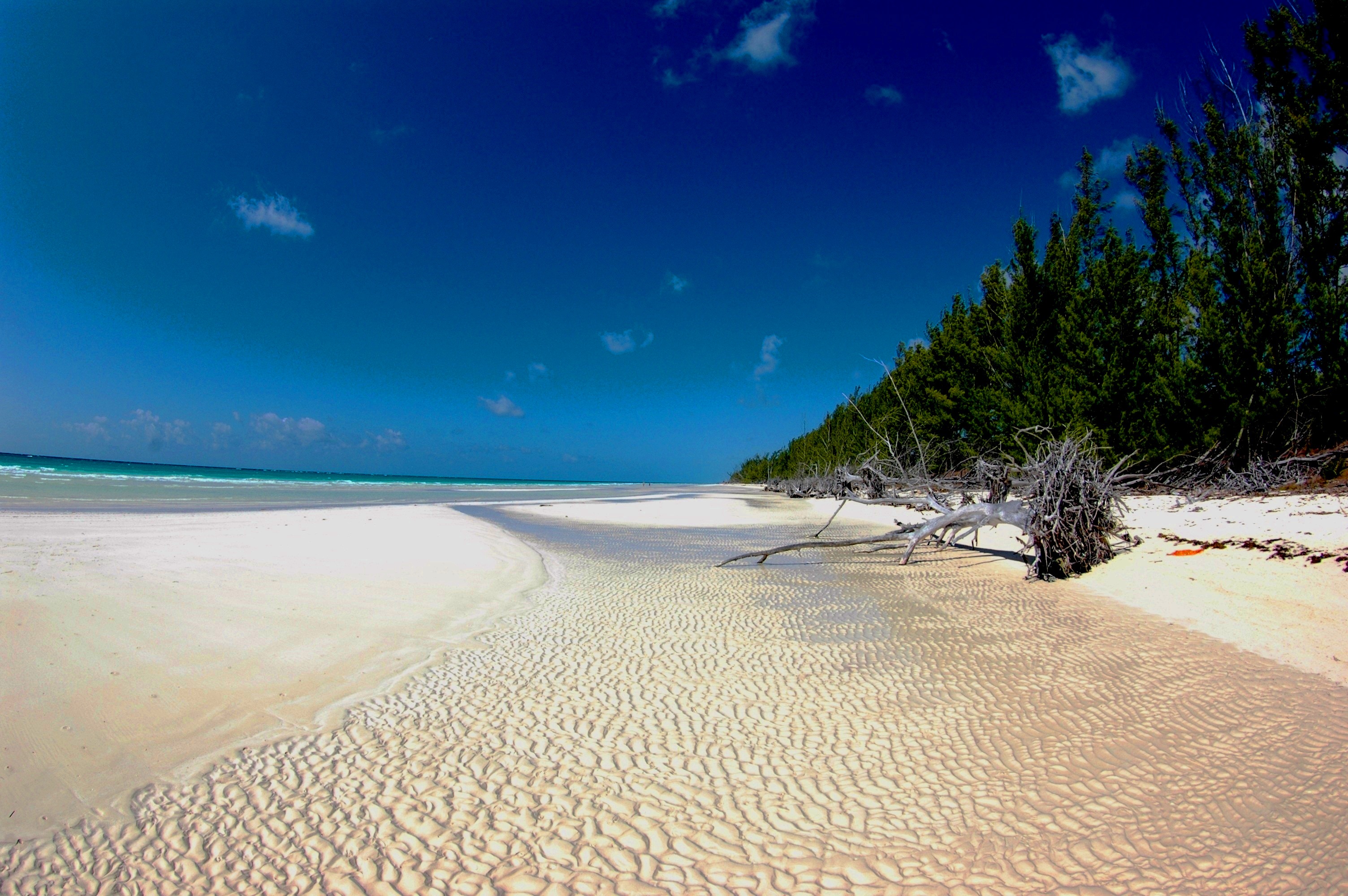 Golden beach rock Golden beach rock