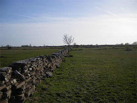 Sur l'île d'Öland Sur l'île d'Öland