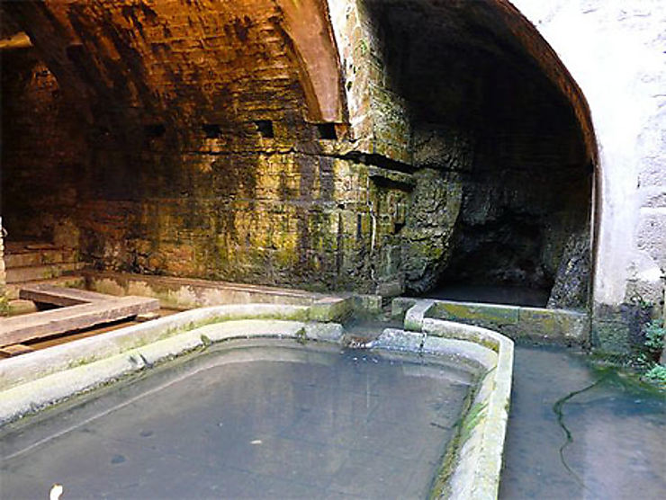 Fontaine des Lépreux de Dole - Noëlle VIONNET