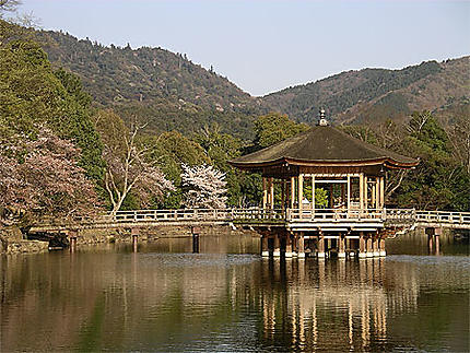 Pavillon sur pilotis dans le parc de Nara