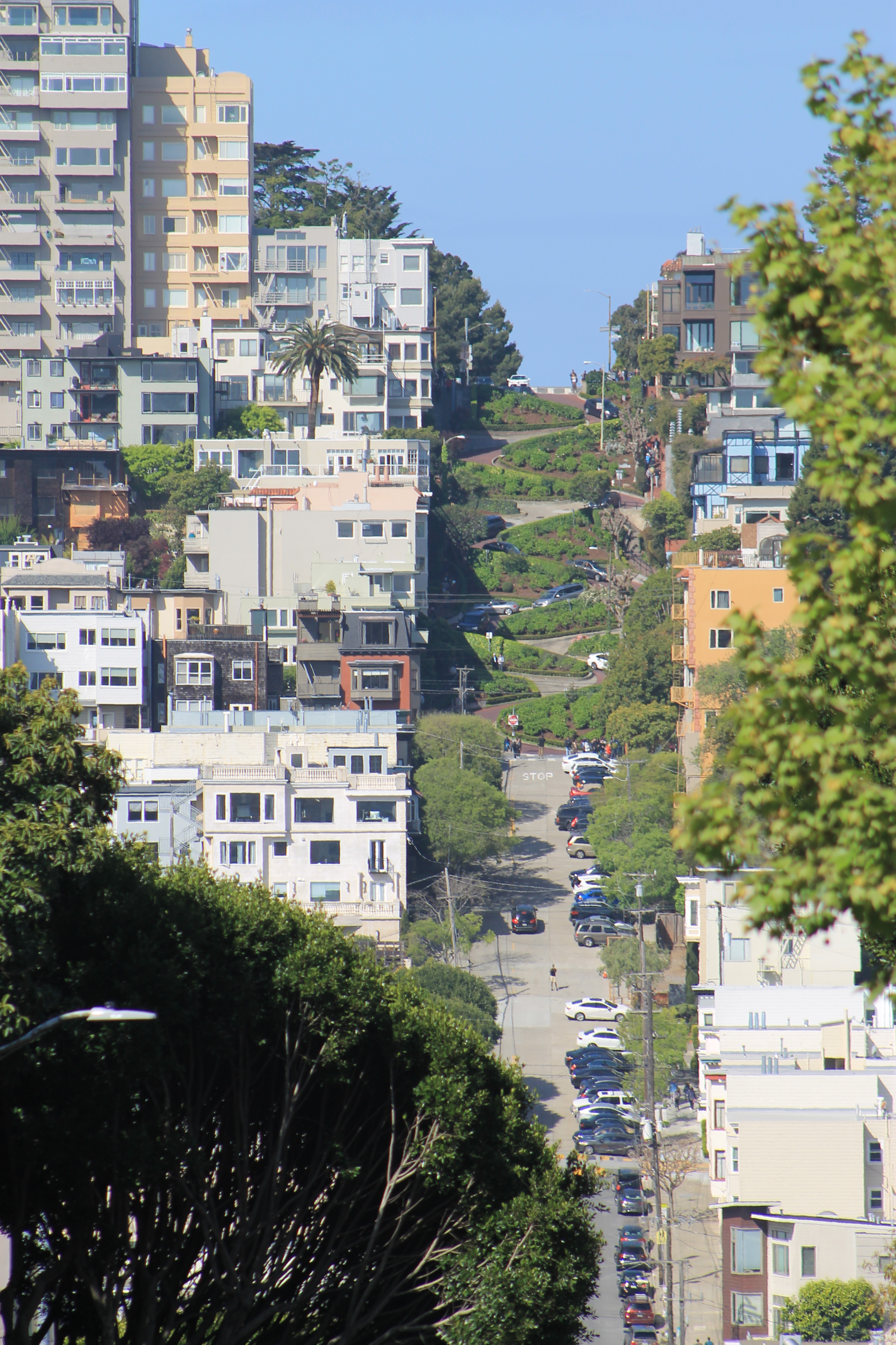 San Francisco San Francisco