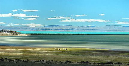 Lago argentino
