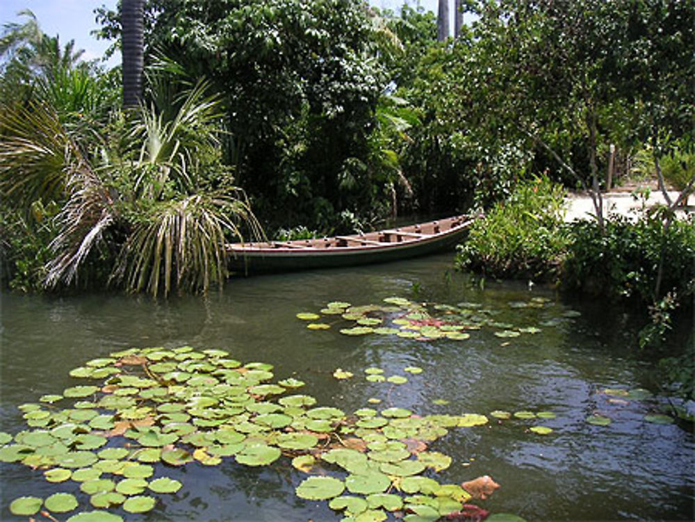 Parnaiba pirogue