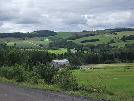 Paysage à St-Octave-de-Métis