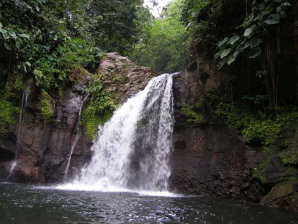 Cascades aux écrevisses