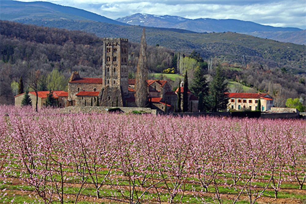 Abbaye St Michel de Cuxa