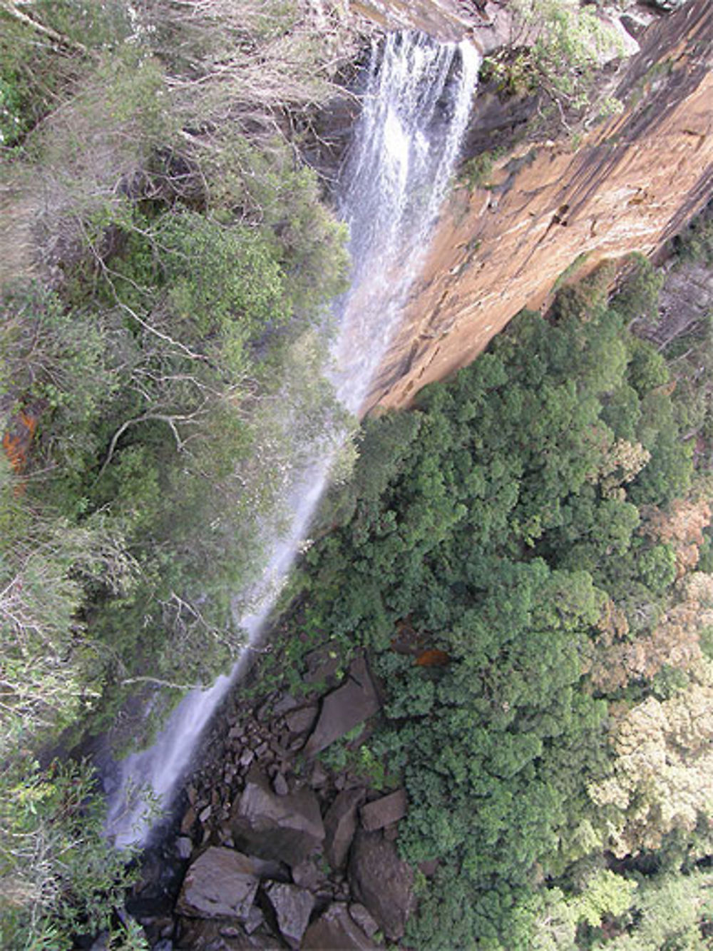 Fitzroy Fall