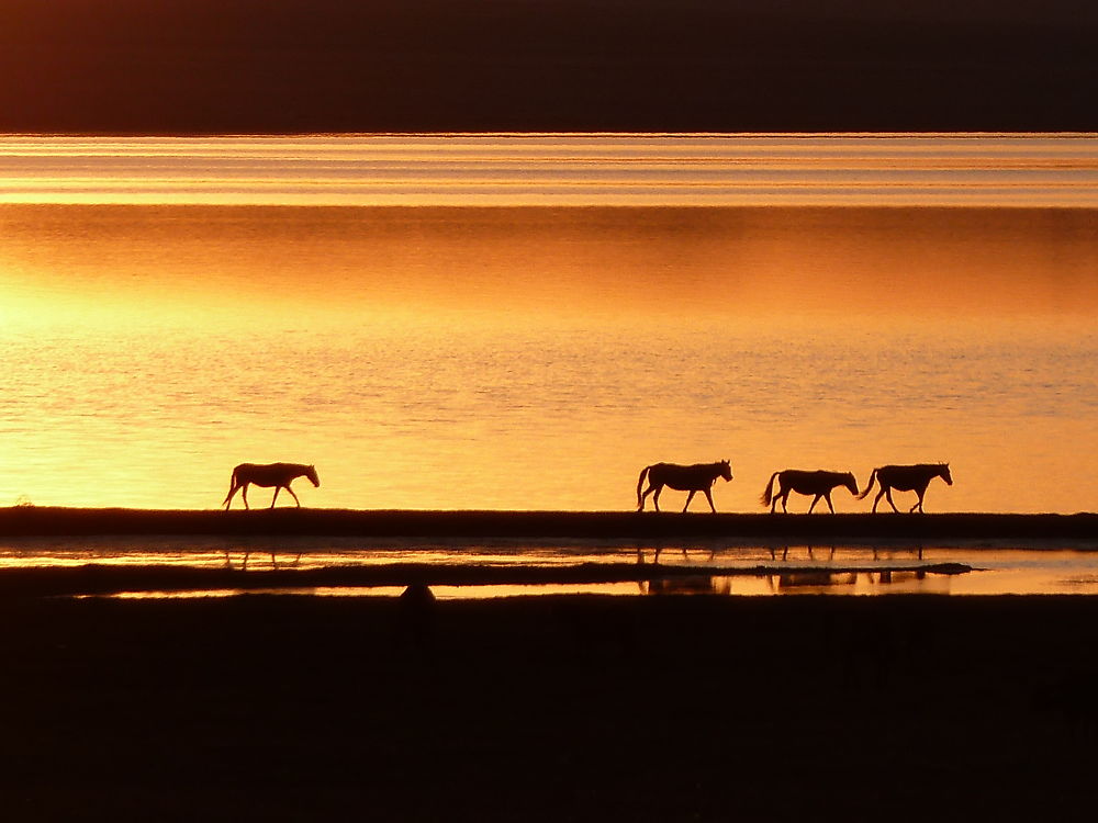 Calme plat au soleil couchant